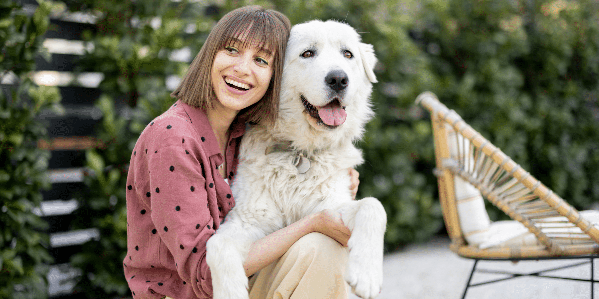 Dog-Friendly Lifestyle and Pet Culture in California