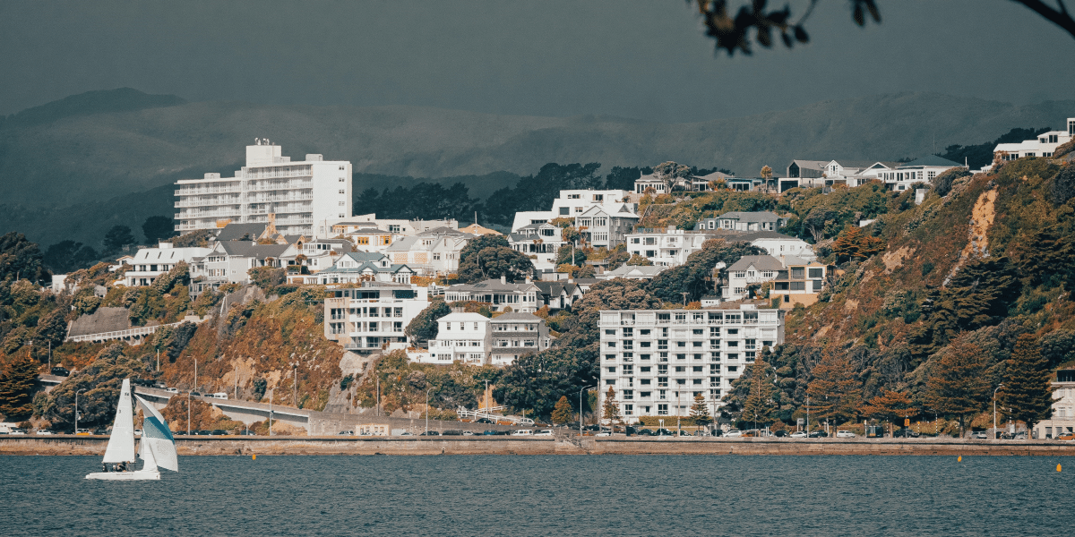 Discover Wellington Must-See Sights and Experiences