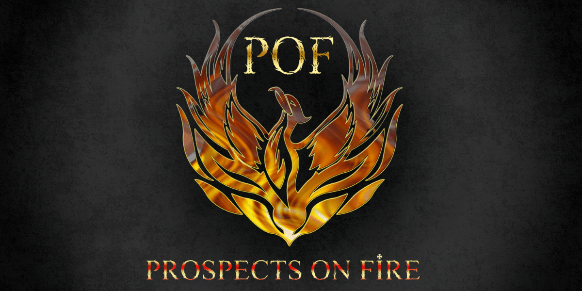 Prospects on Fire: Transforming Small Businesses with Organic Lead Generation Expertise