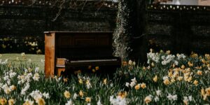 Flower Piano: A Unique Musical Experience at the San Francisco Botanical Garden