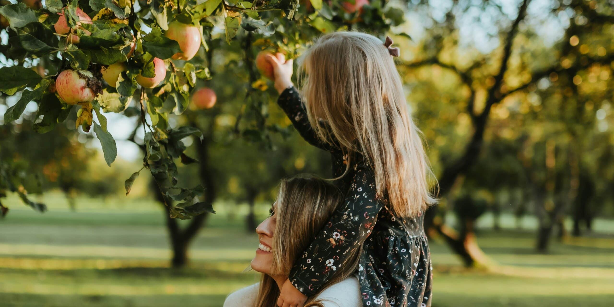 Celebrate Apple Season: Discover Local U-Pick Events and Harvest Fun