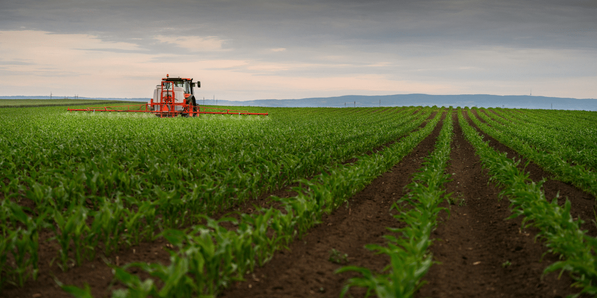 Harvesting Opportunities: A Vision for Sustainable Agricultural Growth