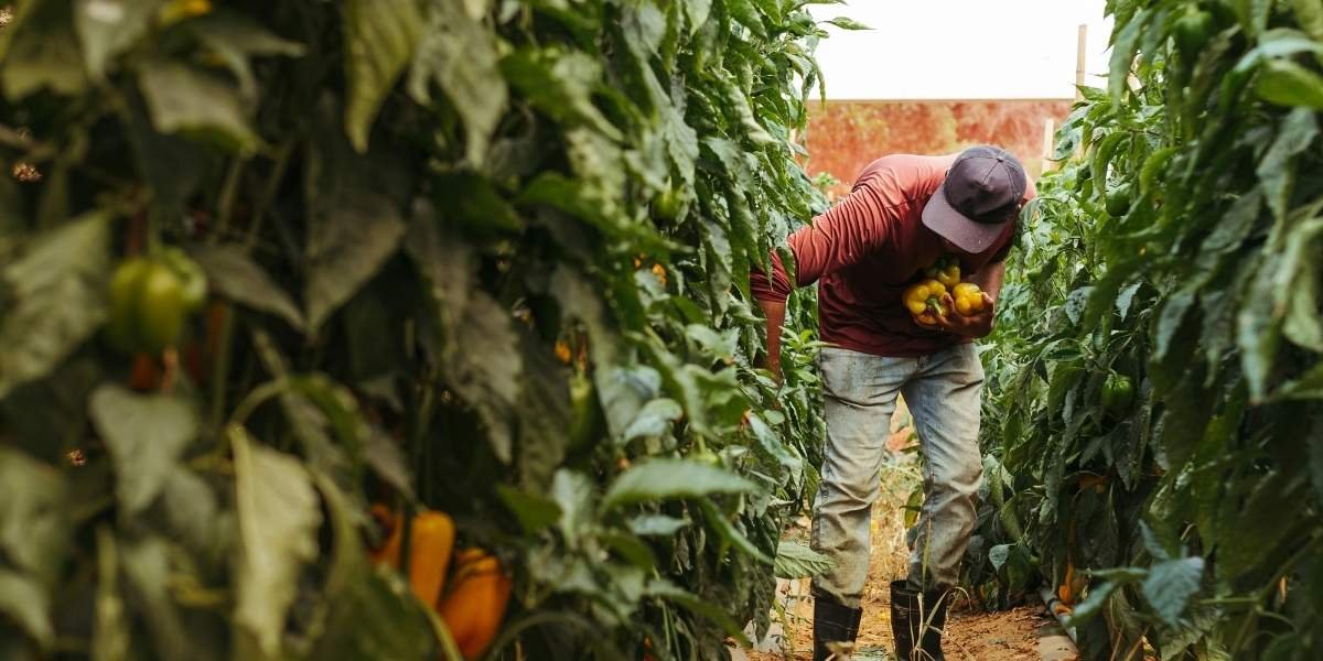 Why Autonomous Tractors Could Be the Future of Modern Agriculture