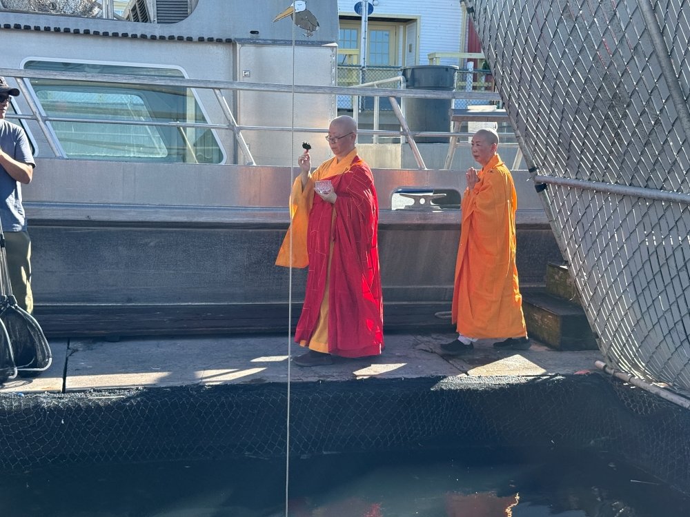 Compassion in Action Life Release Day Observed Through Prayer, Education, and Service