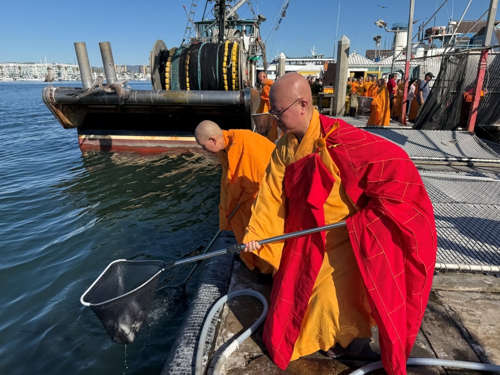 Compassion in Action Life Release Day Observed Through Prayer, Education, and Service