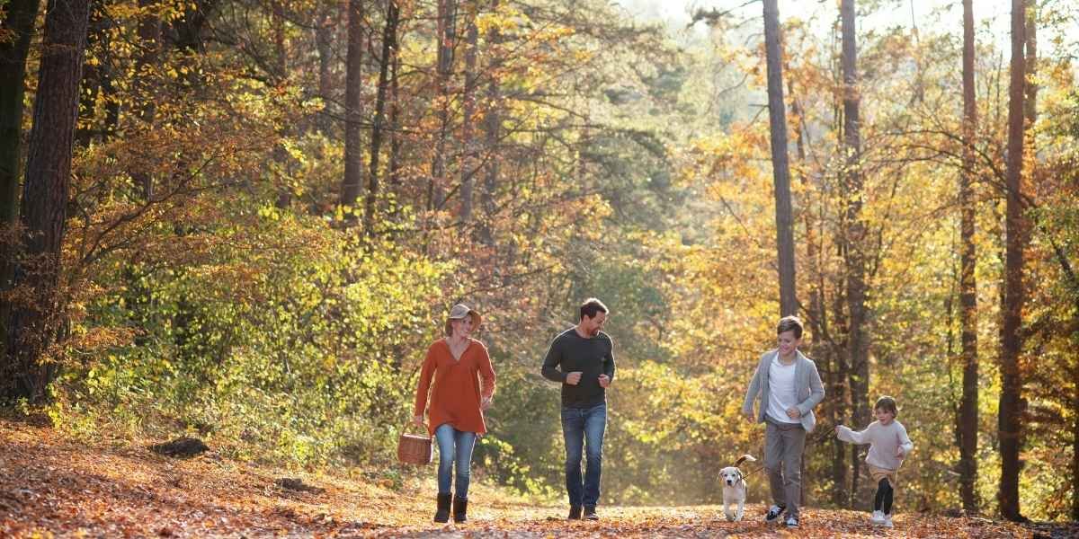 California Announced Three New State Parks to Boost Central Valley Access