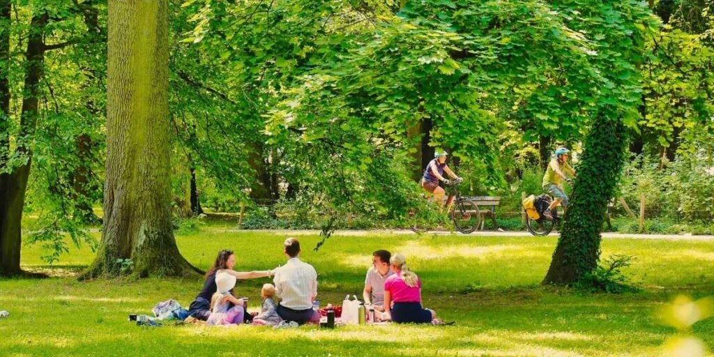 San Francisco Places Second In California Park Rankings