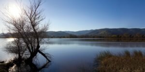 The Bay Area Town Where Your Backyard Is 1,300 Acres of Protected Wilderness