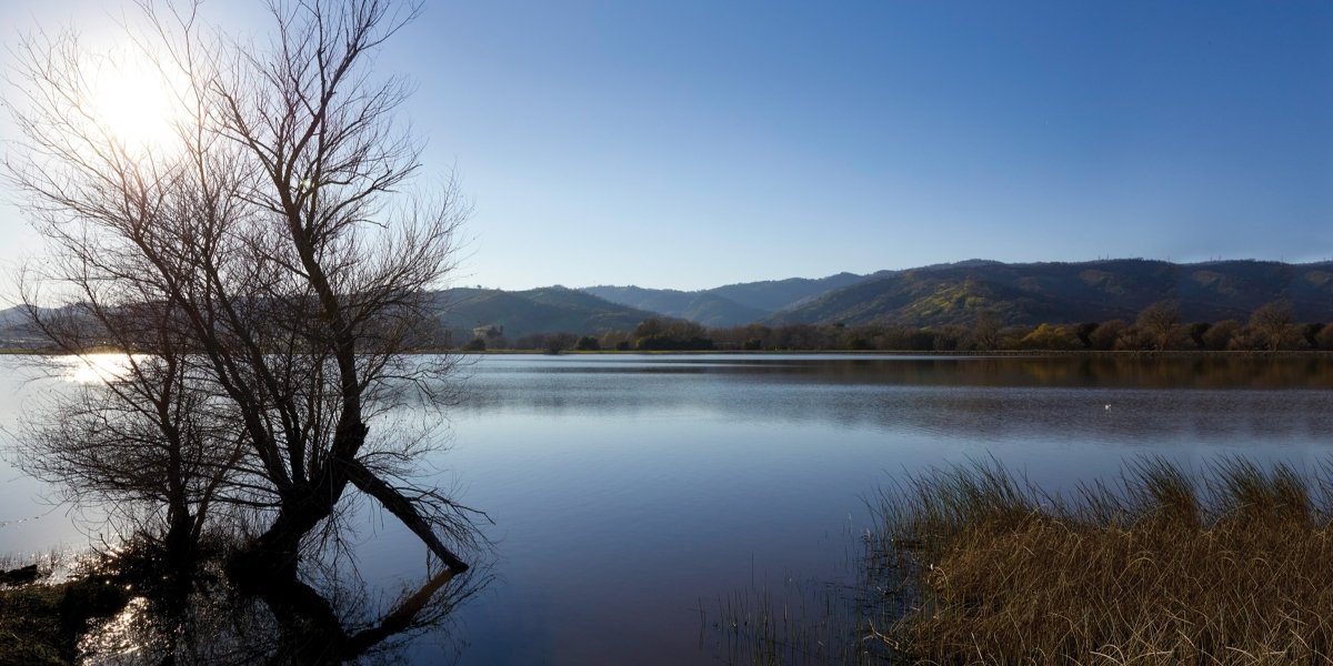 The Bay Area Town Where Your Backyard Is 1,300 Acres of Protected Wilderness