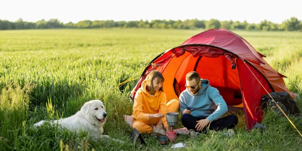 Where to Camp Near San Francisco for a Weekend Escape